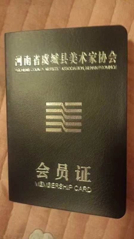 费阿姨缩略图6