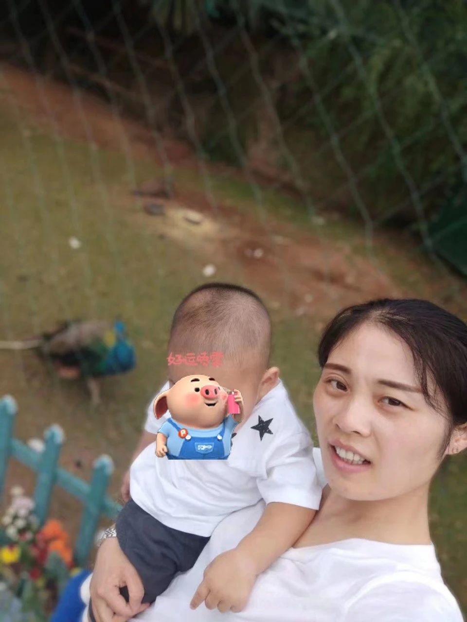 胡阿姨缩略图5