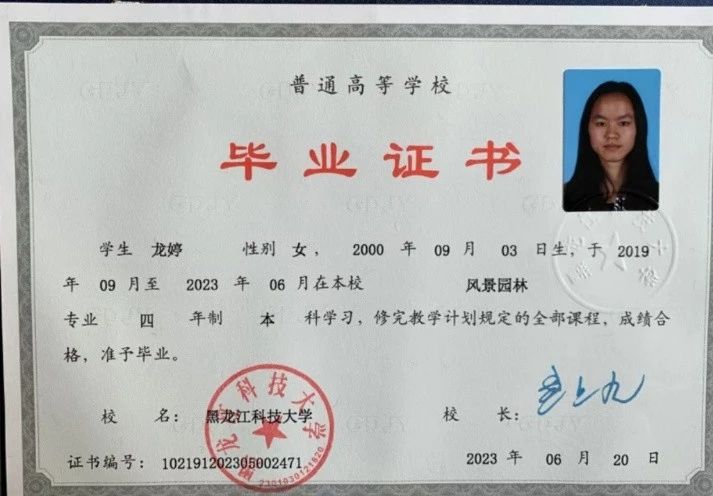 龙阿姨缩略图3
