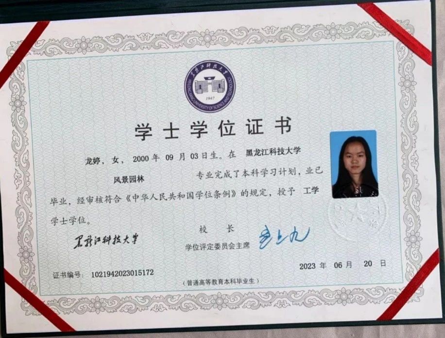 龙阿姨缩略图2