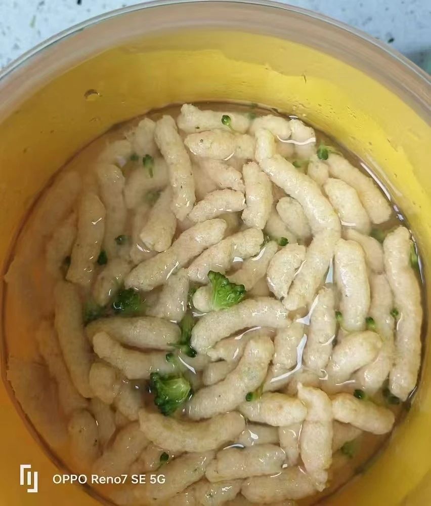 高阿姨工作生活照9