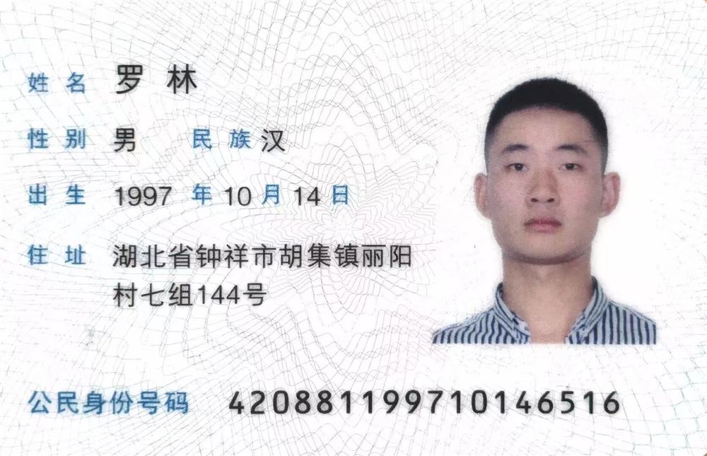 罗阿姨缩略图3