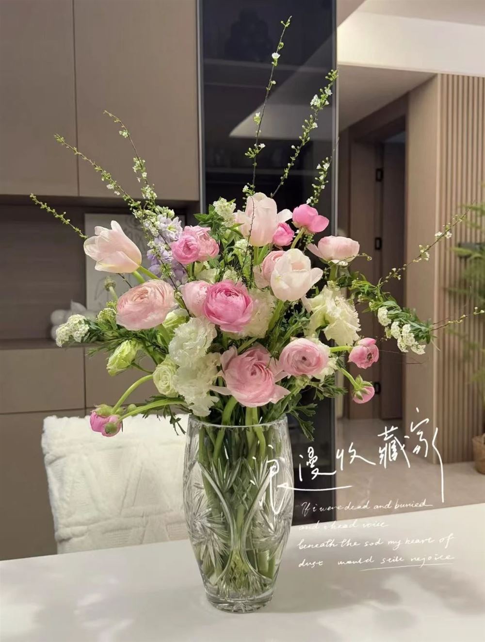 杨阿姨缩略图8