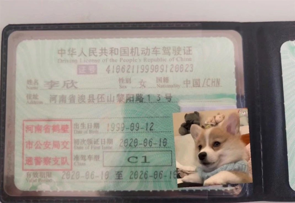李阿姨缩略图5