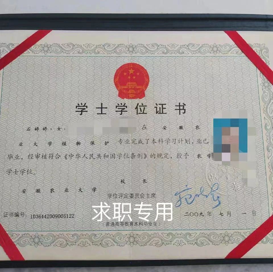 石阿姨工作生活照10