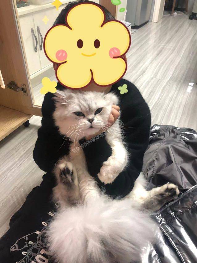 涂师傅缩略图5