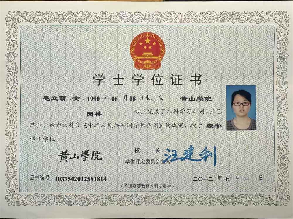 毛阿姨缩略图2