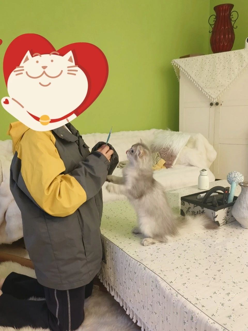刘阿姨缩略图3