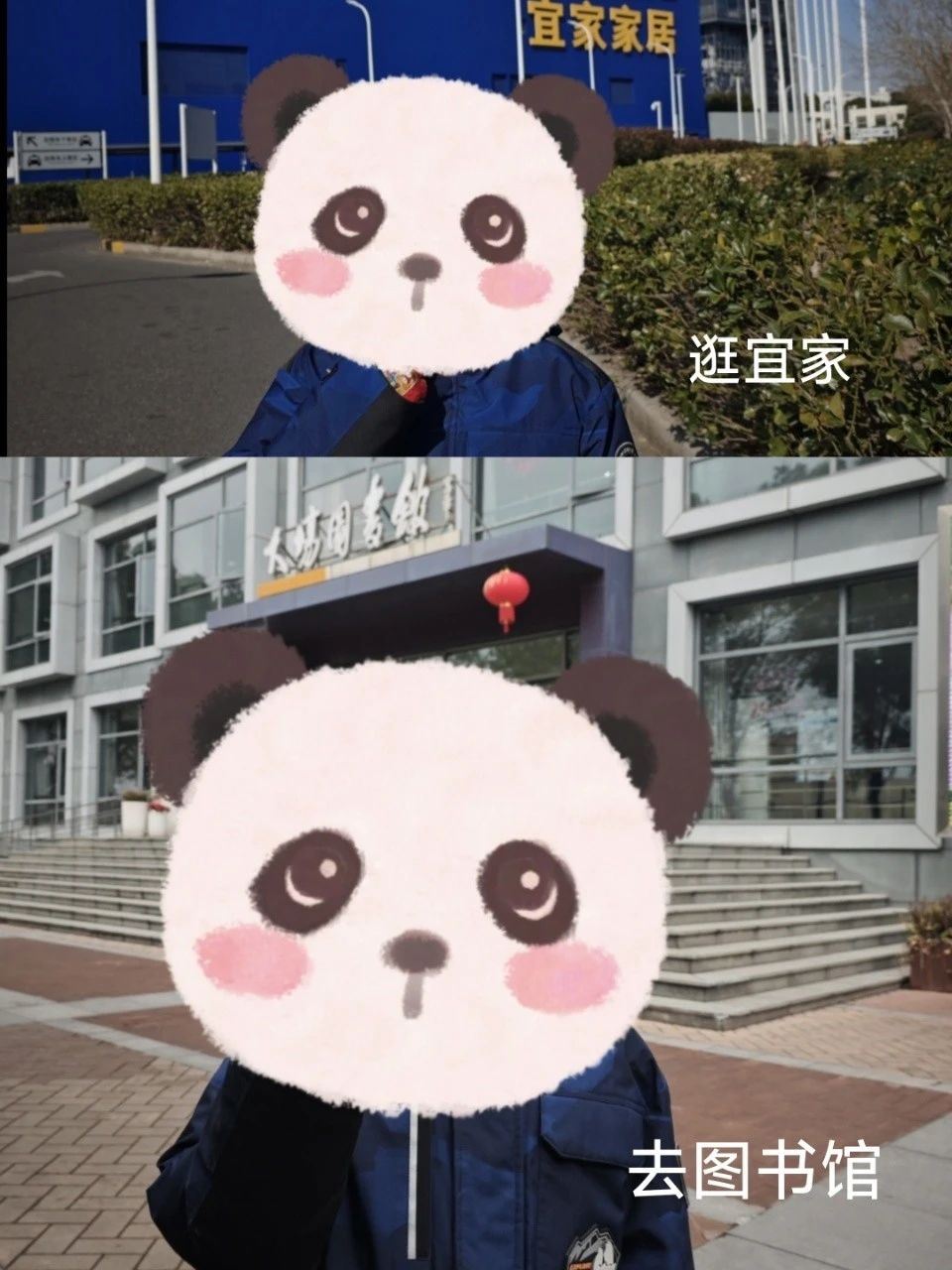 张阿姨缩略图2